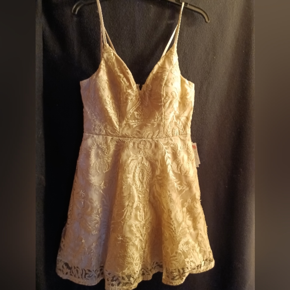 Extraordinary  Dress